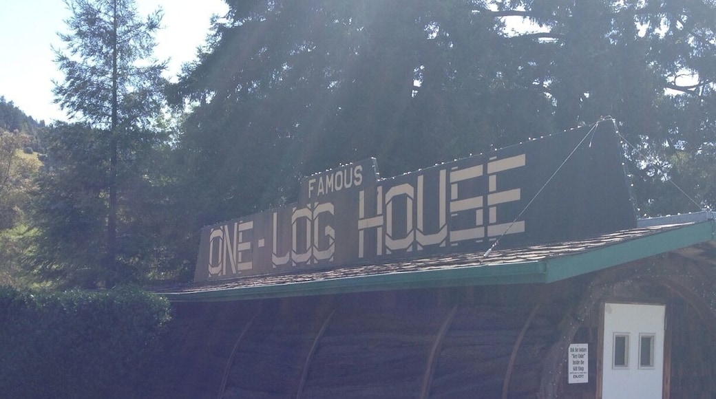 The one log house. So adorable.