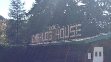 The one log house. So adorable.