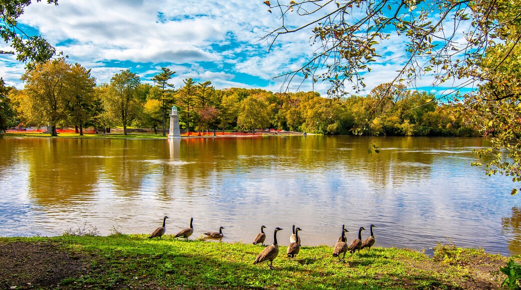 Fabyan Forest Preserve view in Illinois