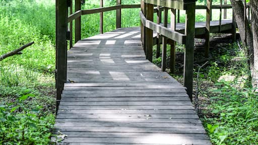 حديقة تانهيل