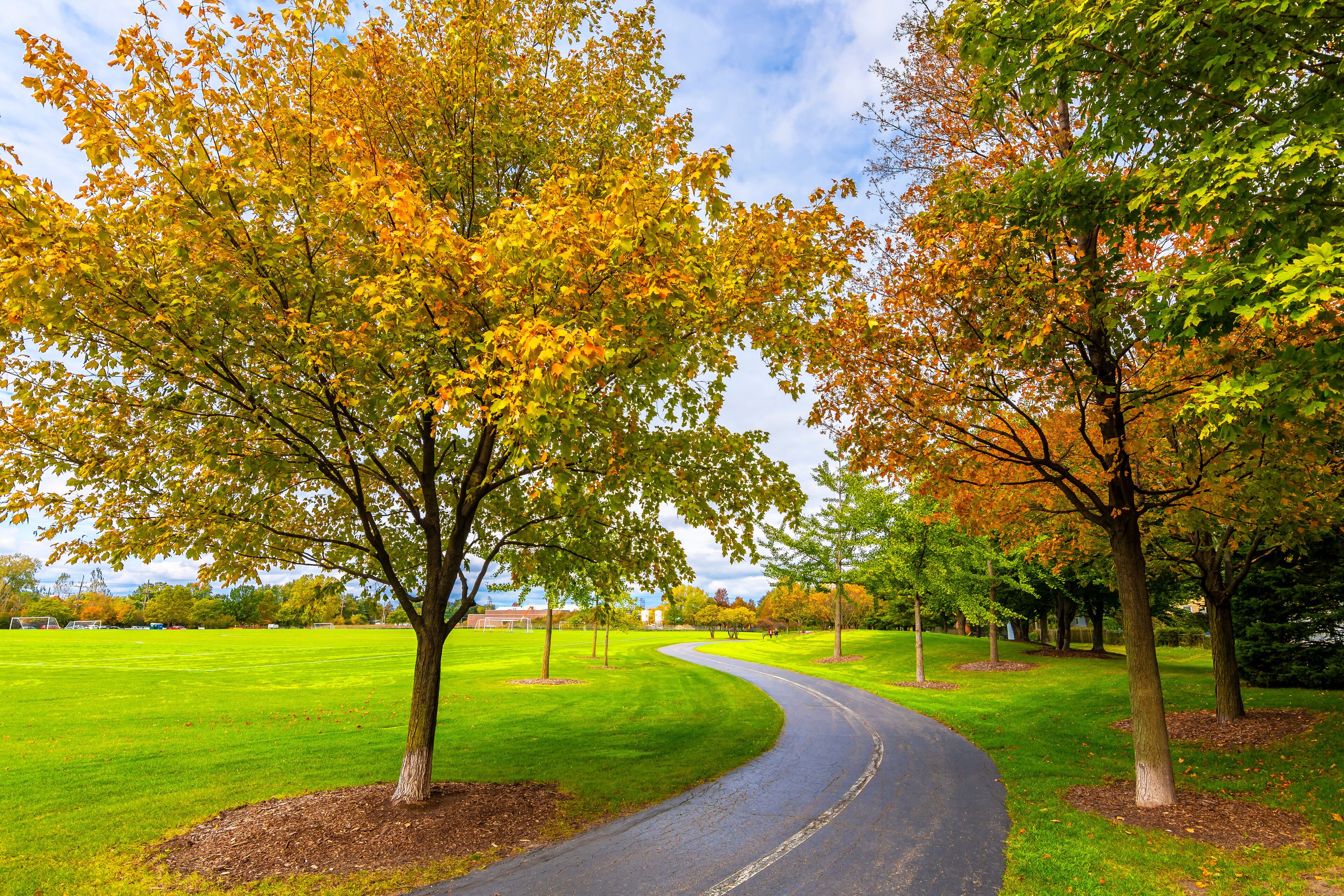Prairie Lakes Park in Des Plaines Town of Illinois