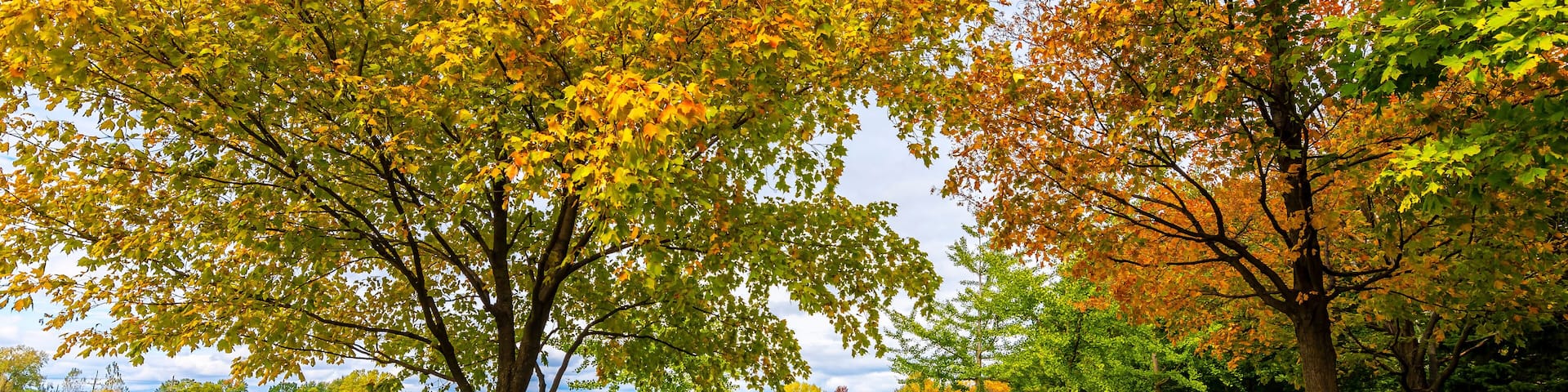 Prairie Lakes Park in Des Plaines Town of Illinois
