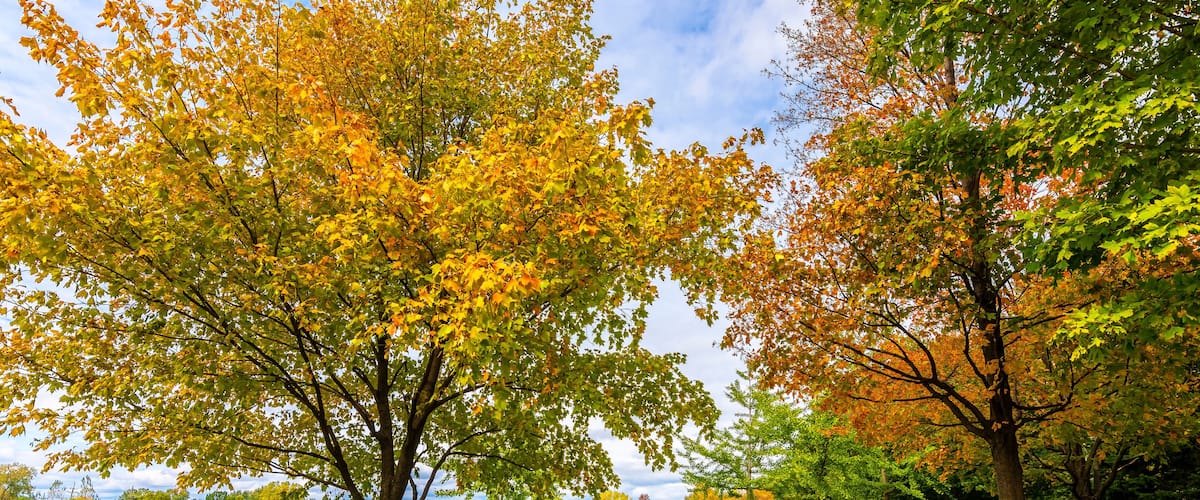 Prairie Lakes Park in Des Plaines Town of Illinois