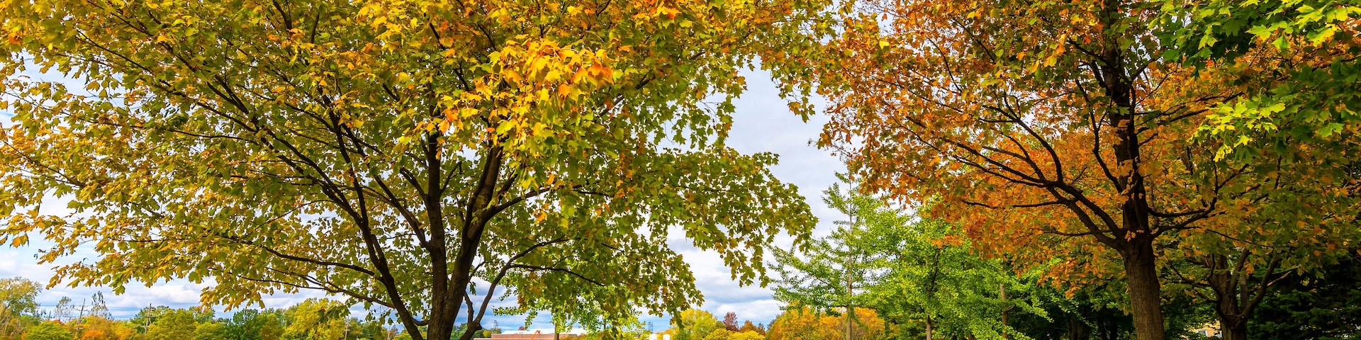 Prairie Lakes Park in Des Plaines Town of Illinois