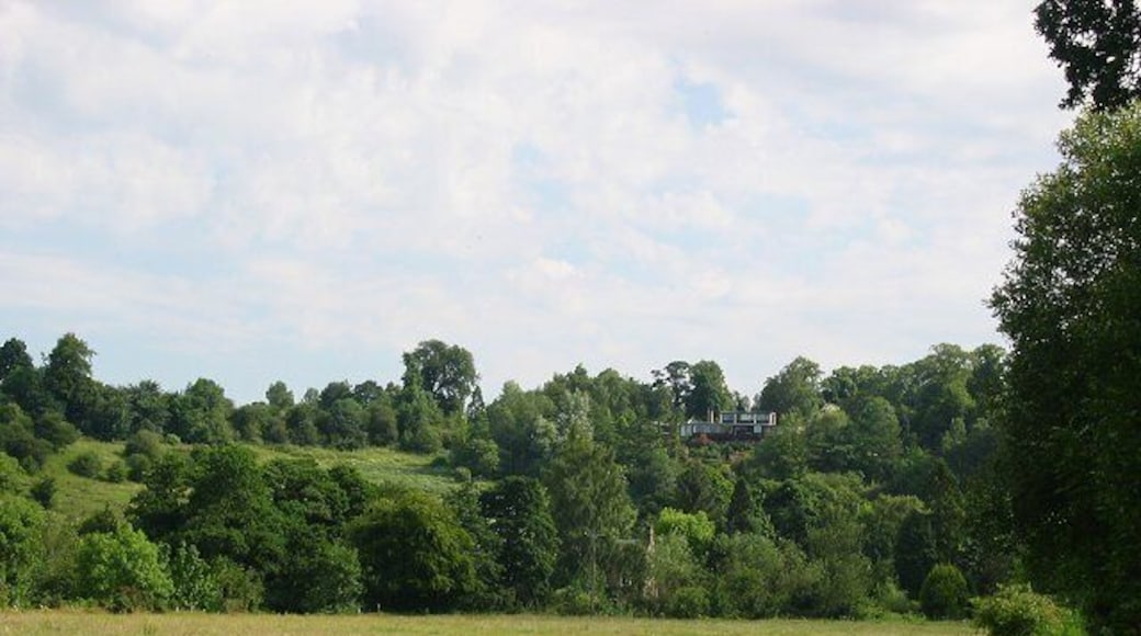 Old parkland, Polton. The North Esk emerges from the gorges into what was shown by the OS as parkland, but appears to be in transition to naturally seeded woodland. Taken from the old branch railway to Polton.