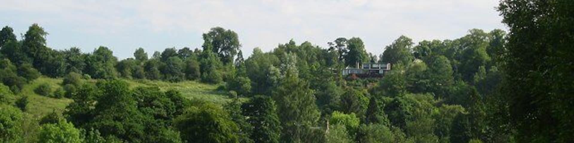 Old parkland, Polton. The North Esk emerges from the gorges into what was shown by the OS as parkland, but appears to be in transition to naturally seeded woodland. Taken from the old branch railway to Polton.