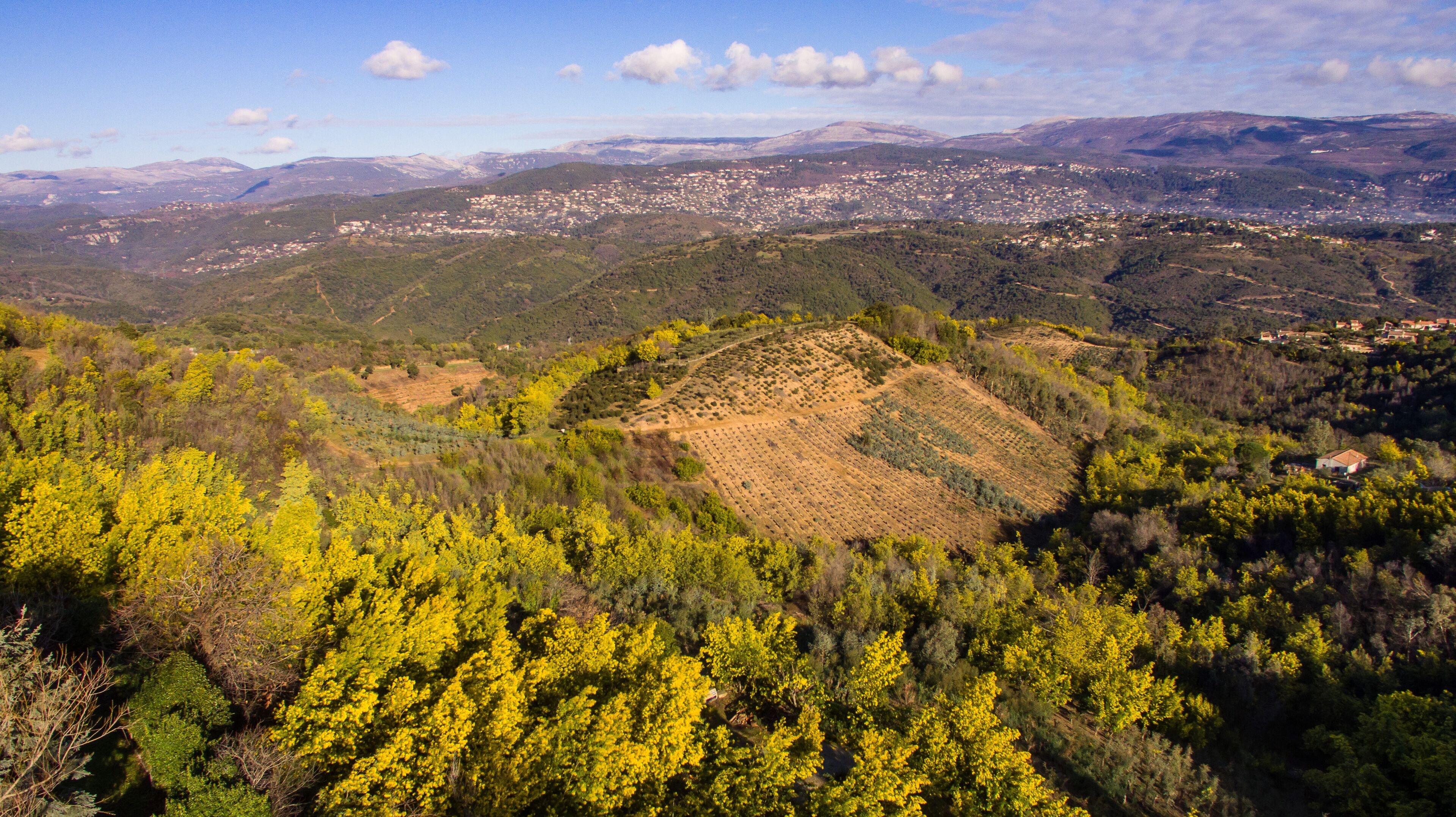 A mountainous landscape with a town in the valley, dense forests, and agricultural fields.