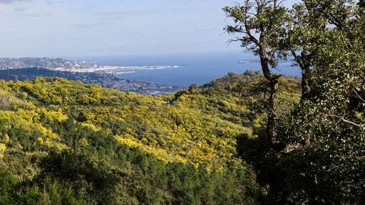 La Roquette-sur-Siagne