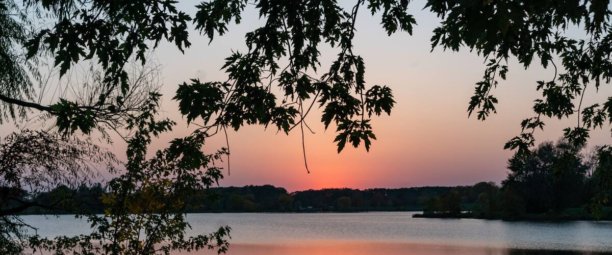 Un coucher de soleil sur un lac paisible, avec des arbres au premier plan.