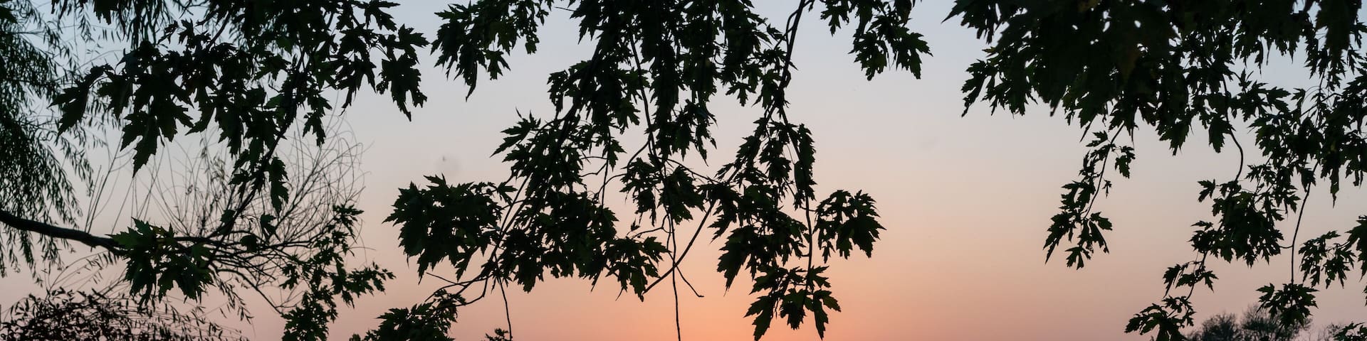 A sunset over a calm lake with trees in the foreground.