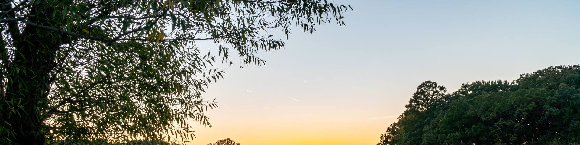 Orland Grove Forest Preserve (McGinnis Slough) at Dusk