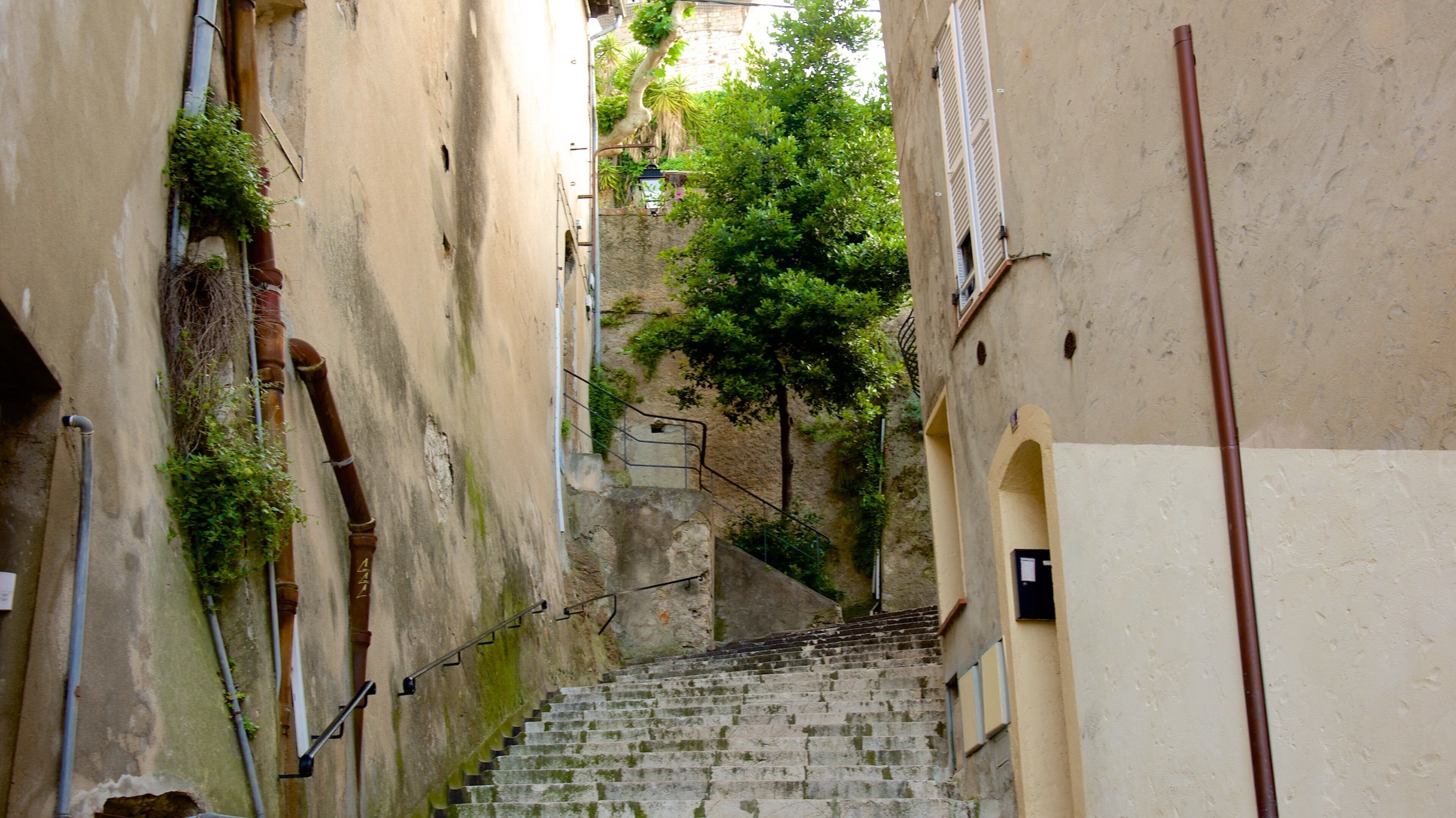 Cannes Old Town featuring a small town or village