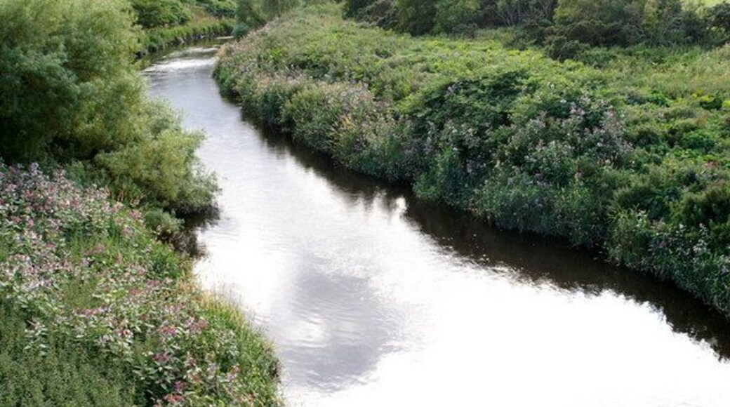 River Almond at Boathouse Bridge, near Kirkliston Like many lowland rivers in Britain these days, Himalayan Balsam dominates the banks.