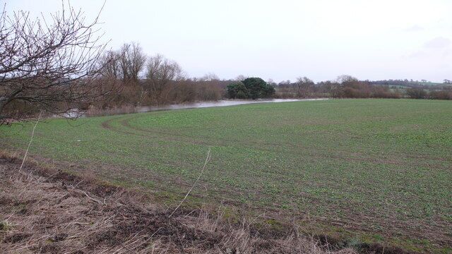 Shelter belt of trees There is a boggy pool behind the trees which, even though it is there all year is not shown on the map.