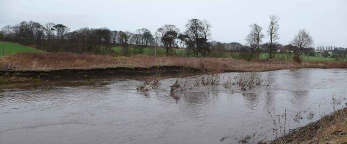 A muddy river with ducks swimming, surrounded by grassy banks and trees.