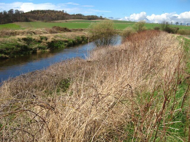 Un río con pasto seco y un campo verde al fondo.