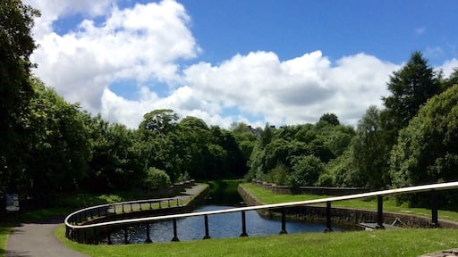 Along the canal towpath at the locks past Maryhill.