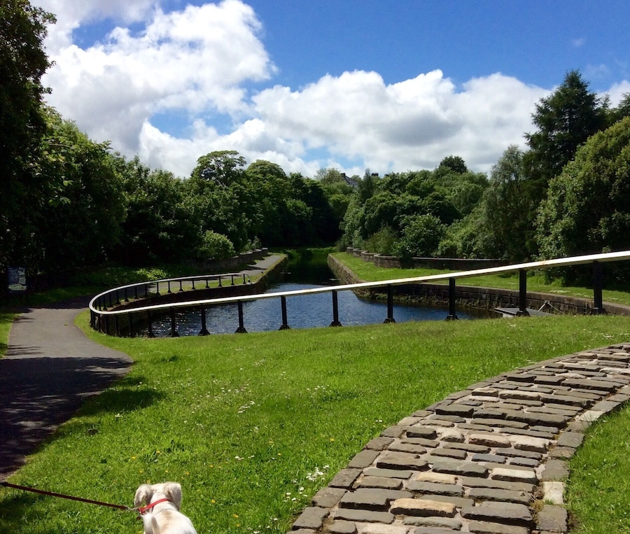 Along the canal towpath at the locks past Maryhill.
