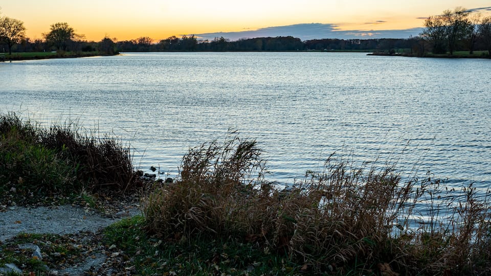 A calm lake at sunset with grassy banks and trees in the background.