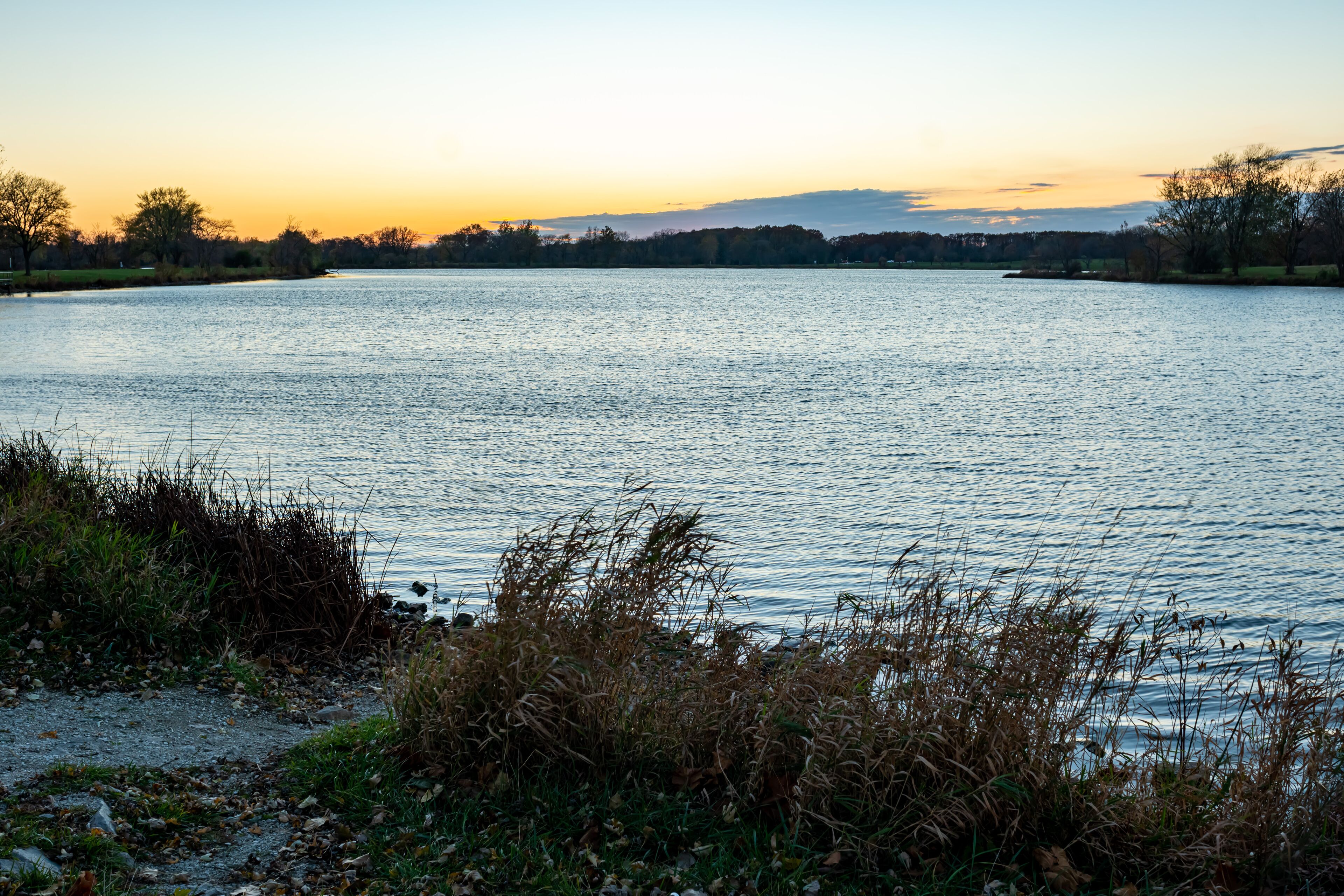A calm lake at sunset with grassy banks and trees in the background.