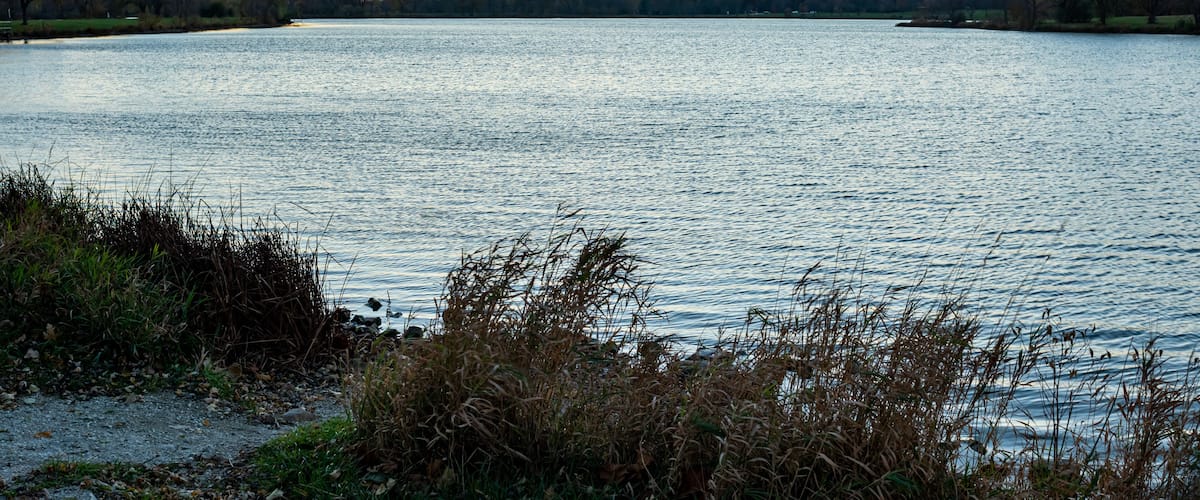 A calm lake at sunset with grassy banks and trees in the background.