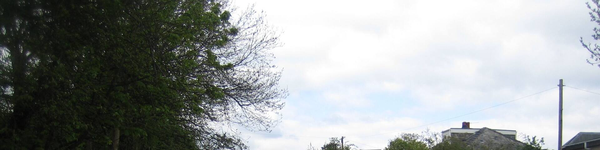 The most sedate stag party ever.