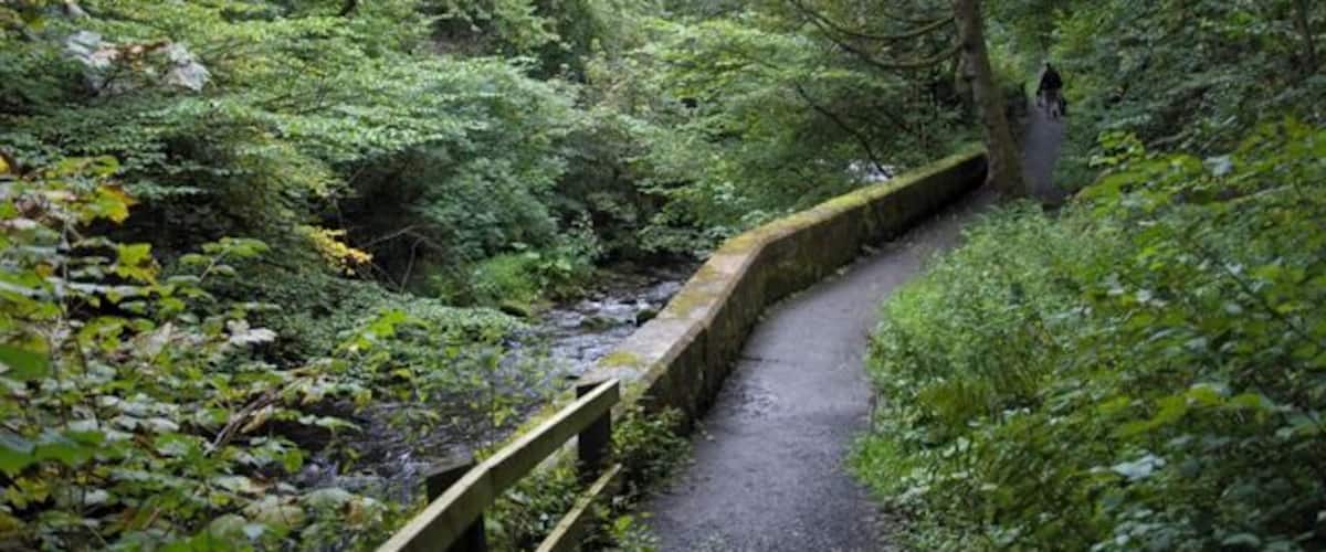 Riverside Path, Colinton dell