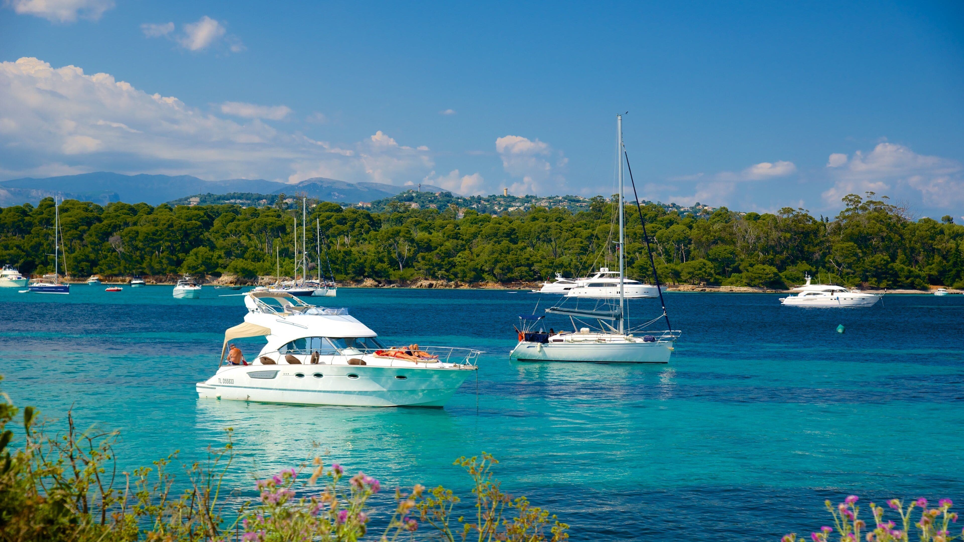 Ile Saint-Honorat which includes a bay or harbor, boating and sailing