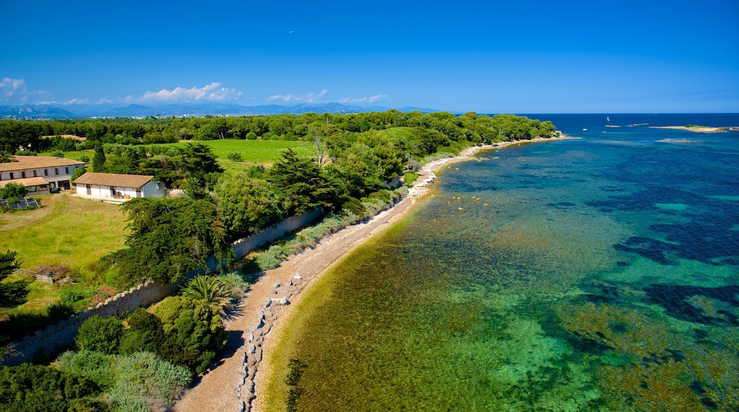 Ile Saint-Honorat featuring island images