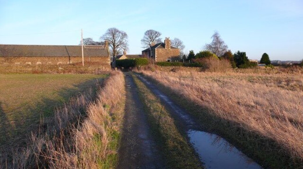 Meadowfield Farm The track to Meadowfield Farm.