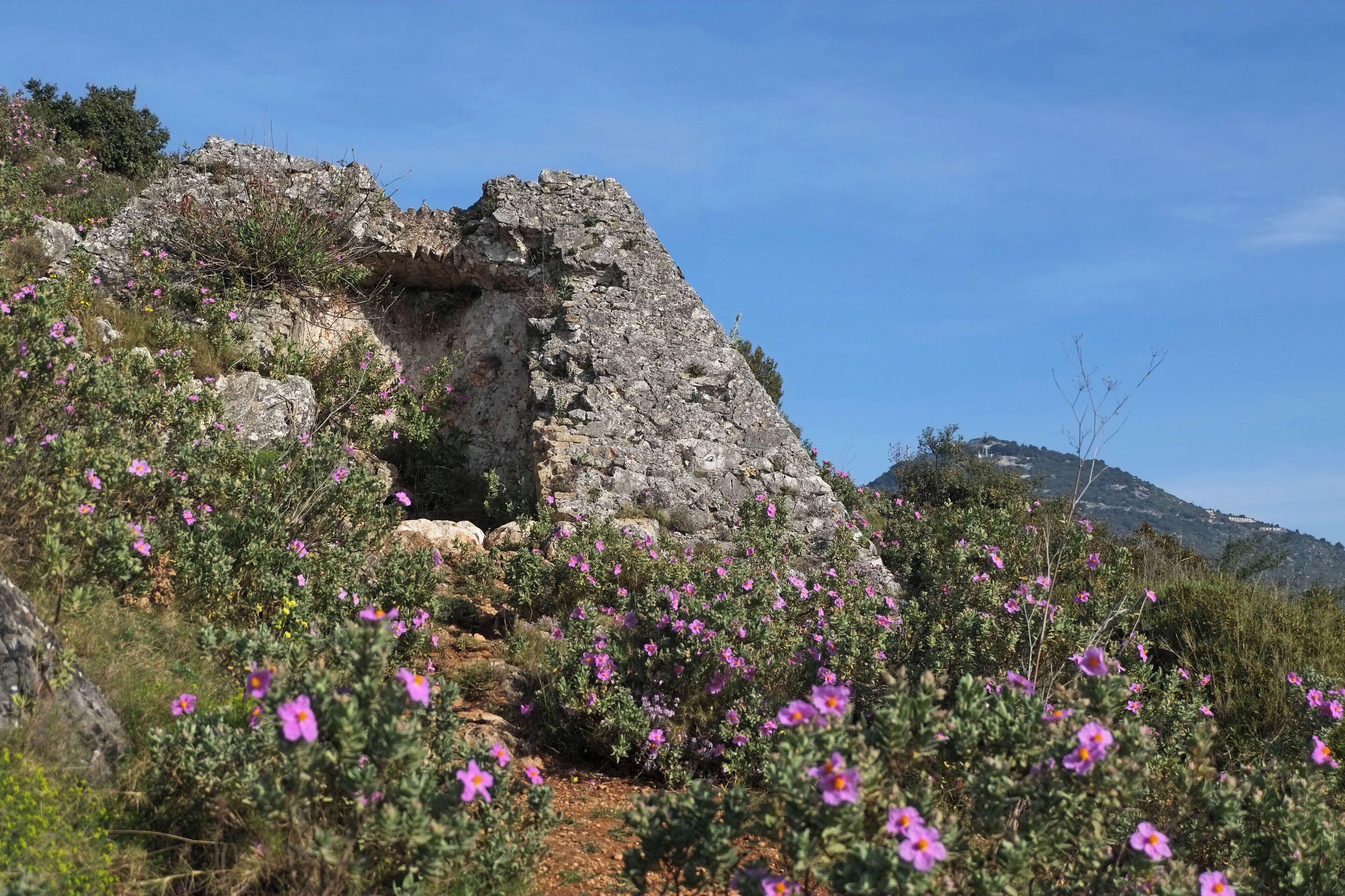 A stone ruin with pink flowers in the foreground and a clear blue sky.