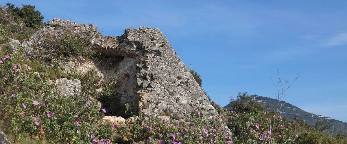 A stone ruin with pink flowers in the foreground and a clear blue sky.