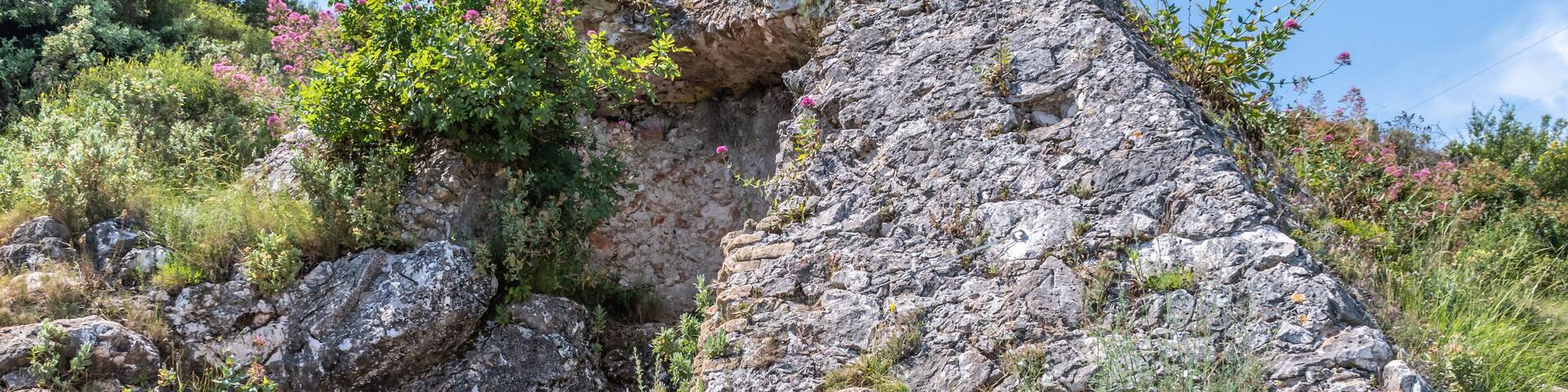 A rocky landscape with a large stone structure, surrounded by greenery and pink flowers.