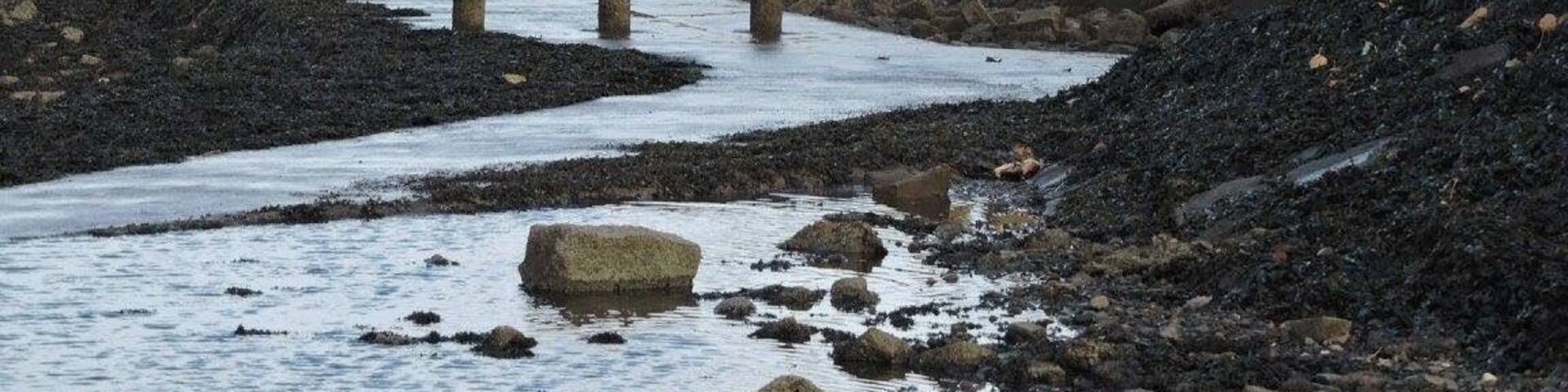 Definitely a must visit. I would recommend going when it's warmer unlike myself who is here right now