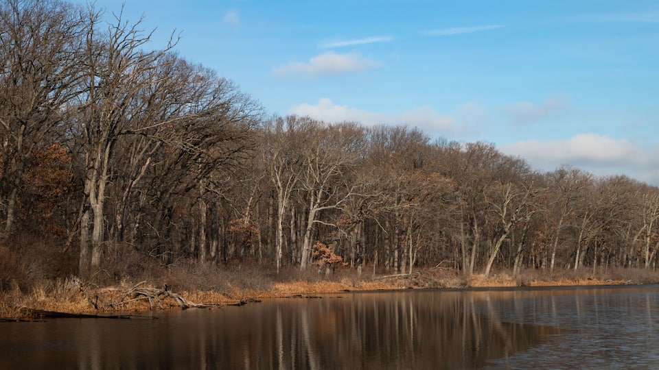 A calm lake surrounded by leafless trees and a clear sky.