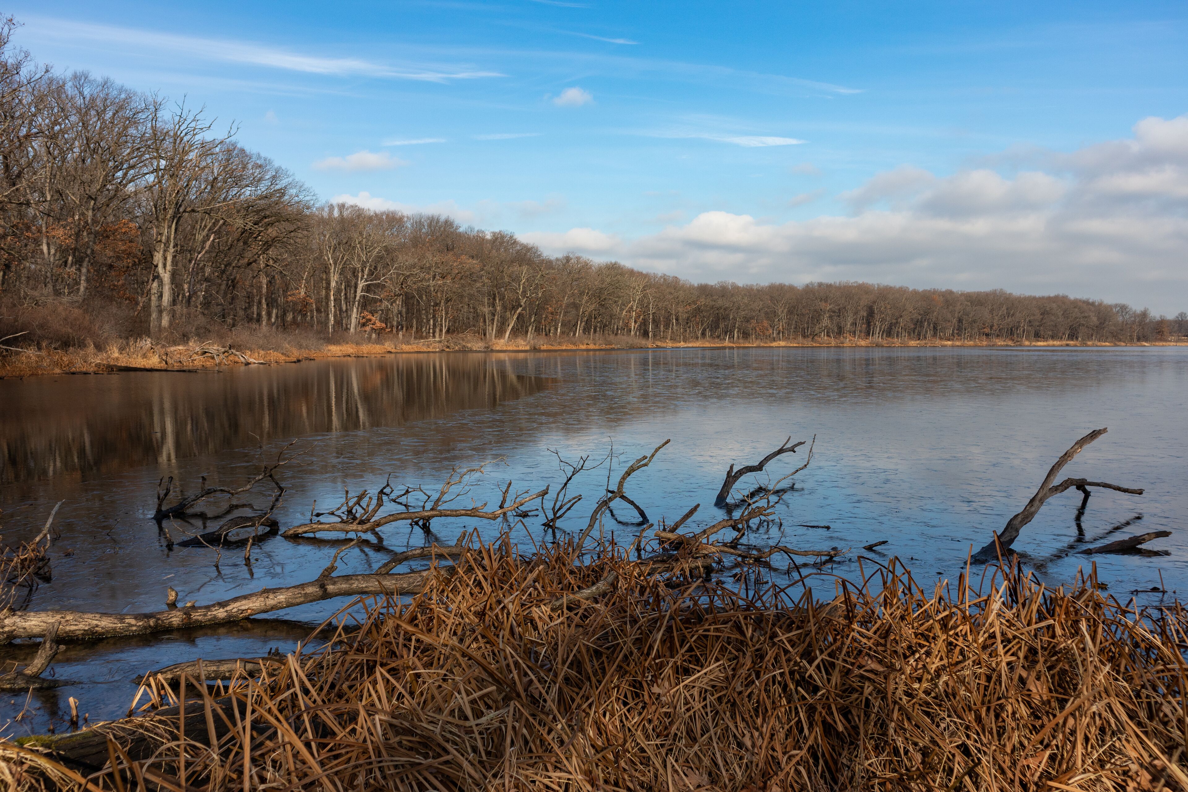 Beautiful Lake at a Forest Preserve in Willow Springs Illinois during Autumn