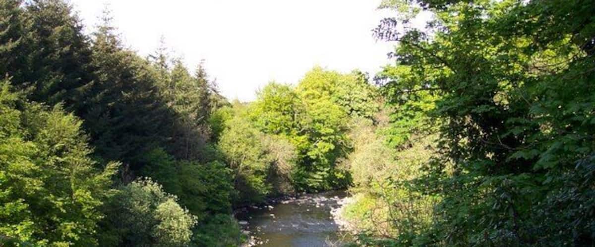 River Almond Edinburgh 2007 Taken from the top of a cliff just out from Cammo Park