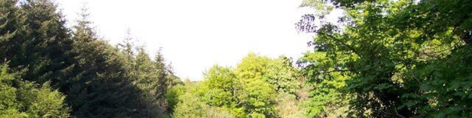 River Almond Edinburgh 2007 Taken from the top of a cliff just out from Cammo Park