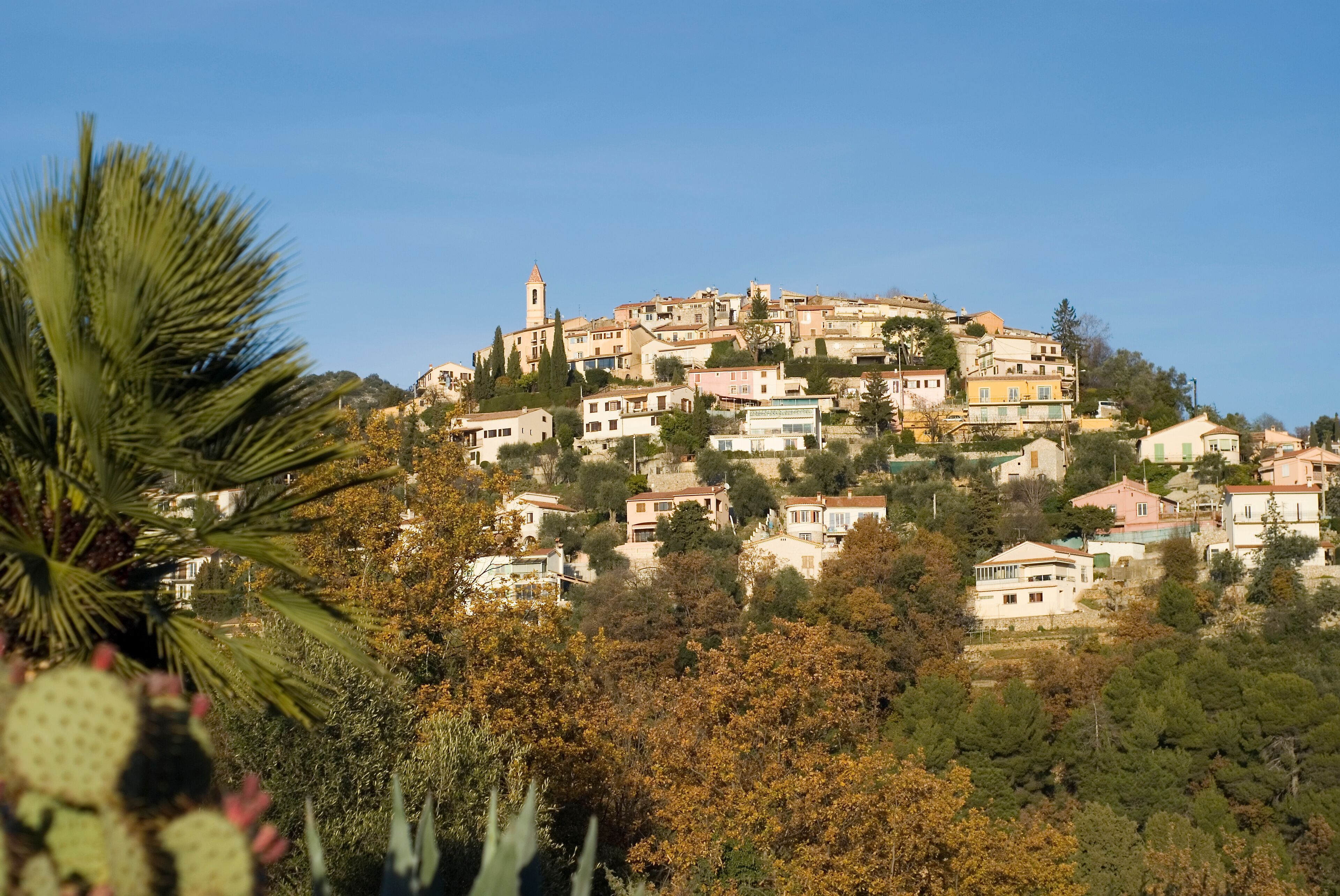 A hillside village with buildings, a church tower, and dense vegetation.