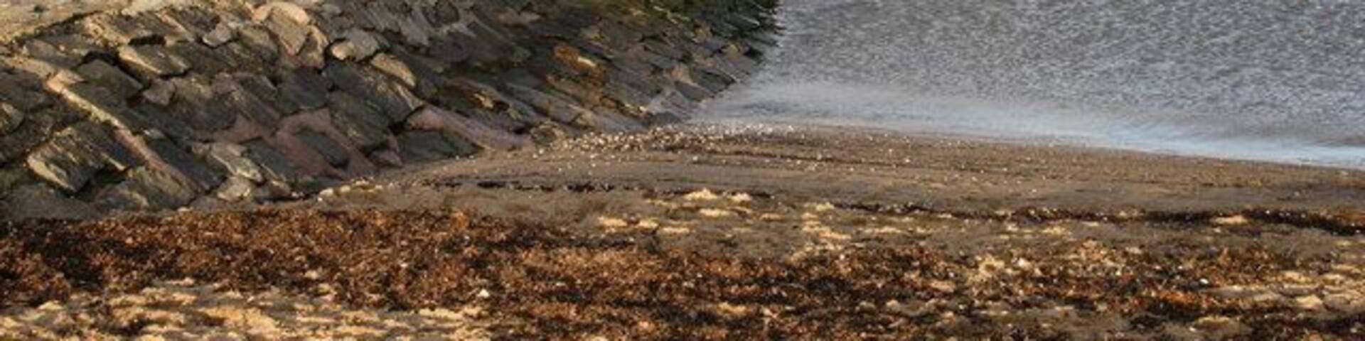 Cramond Island Looking along the causeway to Cramond Island