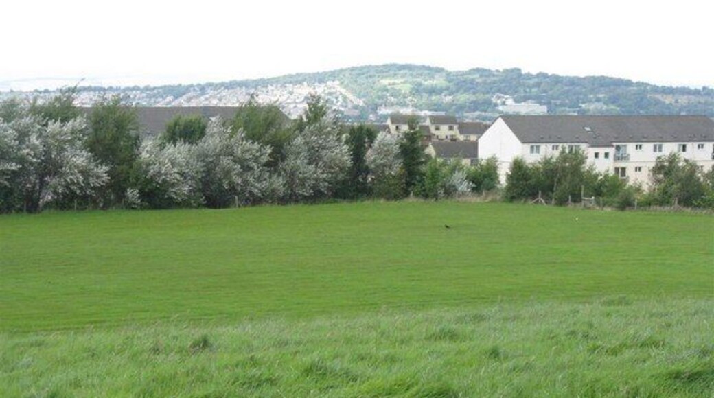 Open space at Wester Hailes