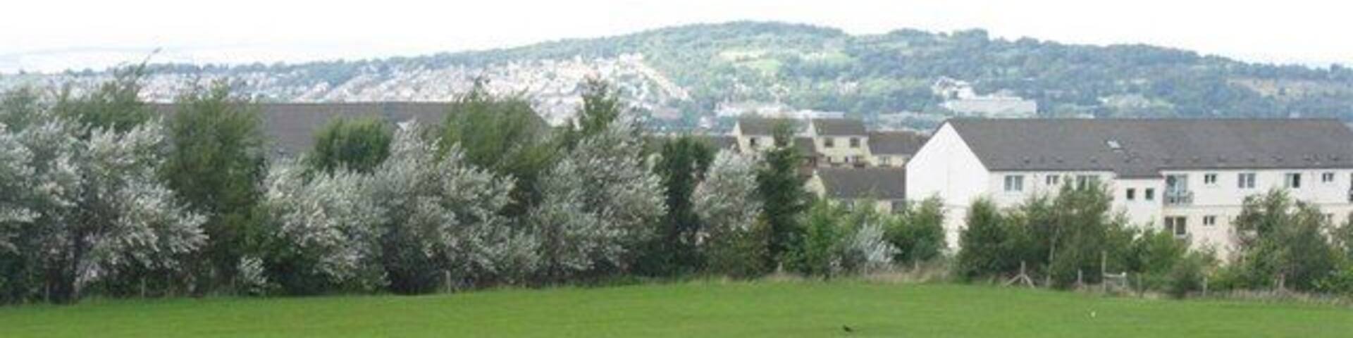 Open space at Wester Hailes