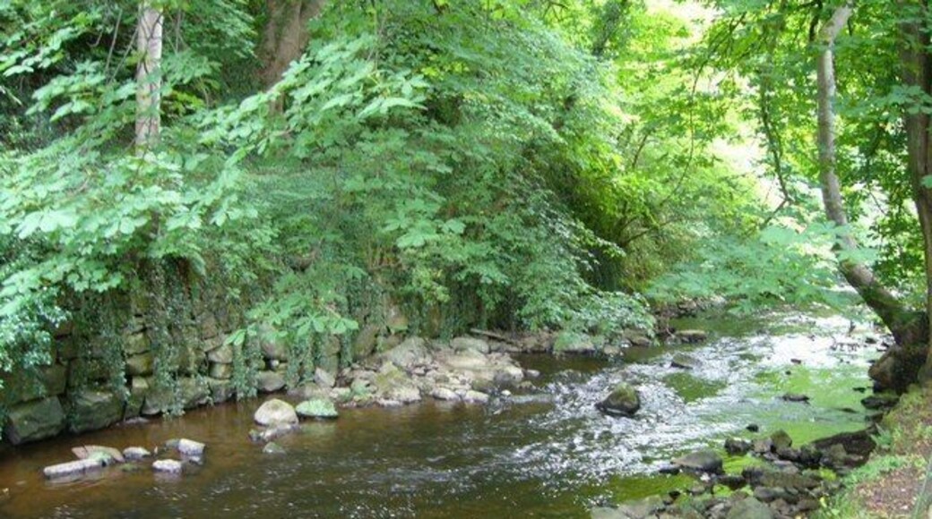 Water of Leith, Colinton Dell