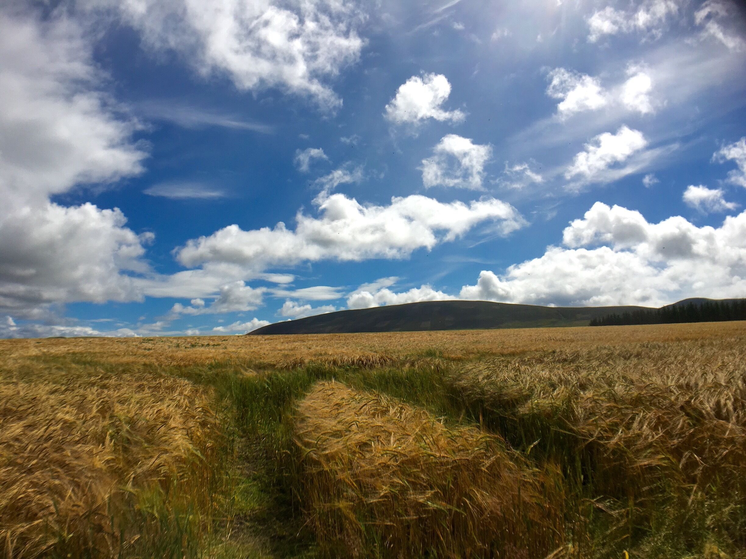 Beautiful Pentland Hills. Awesome walk through Threipmuir Regional Park. 