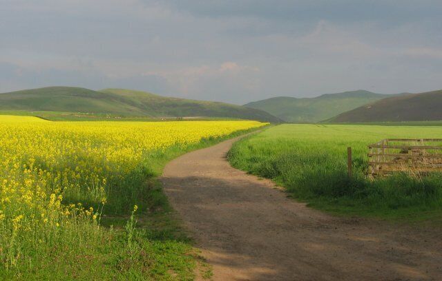 Pentlands from Harlaw. Track to Glencorse from near Harlaw House.