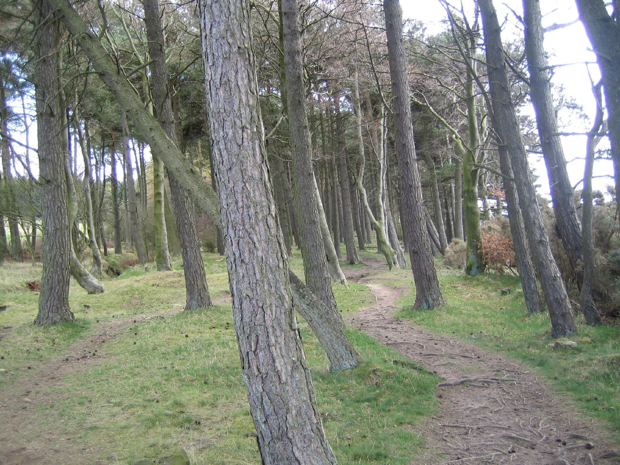 A lovely little detour from the main path.