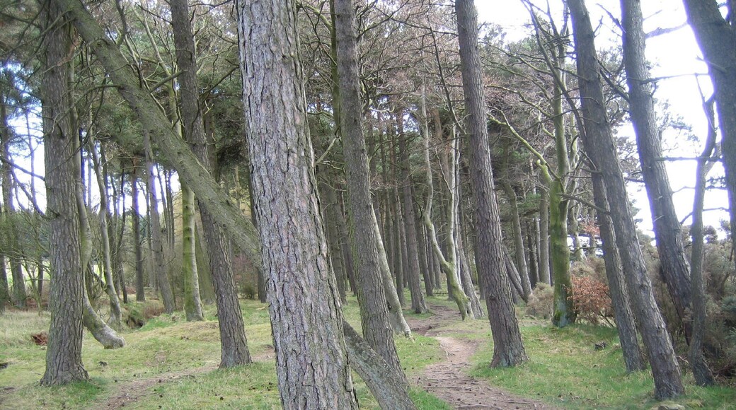 A lovely little detour from the main path.