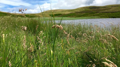Great view across the Threipmuir Reservoir
