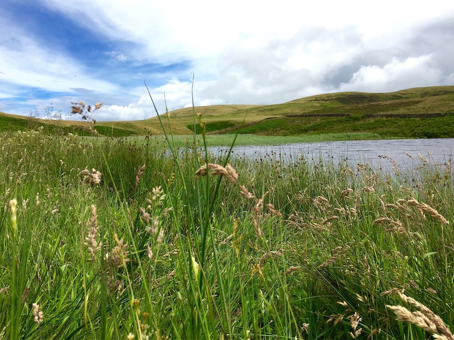 Great view across the Threipmuir Reservoir