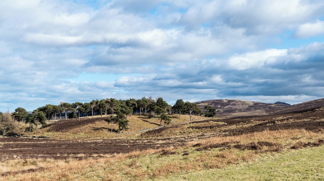 Pentland Foothills